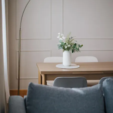 Zentrumsnah, Balkon, 2 Smart Tv, Schnelles Wifi Dresden